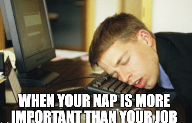 30+ Funny Nap Memes for Sleep Lovers | Puns Captions