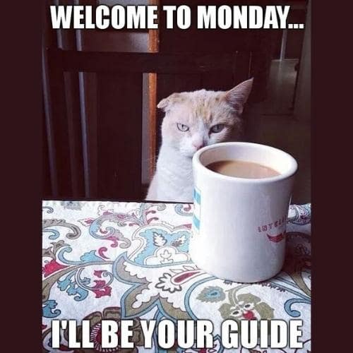 50+ Funny Monday Coffee Memes to Kickstart Your Week | Puns Captions