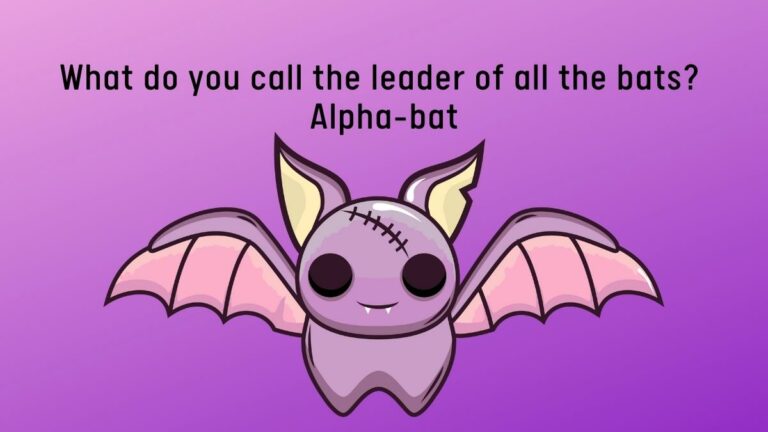 70+ Bat Puns That Really Don’t Bite or Suck