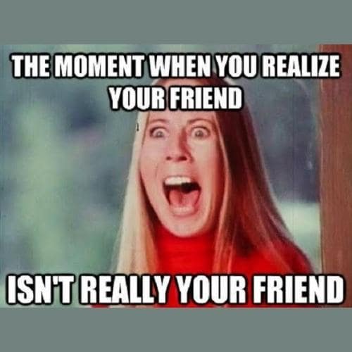 40 Fake Friends Memes That Are To The T Puns Captions